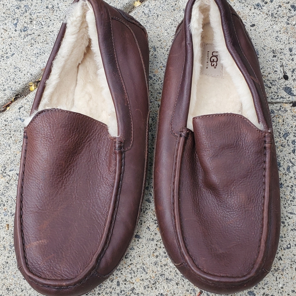 Mens Ugg
